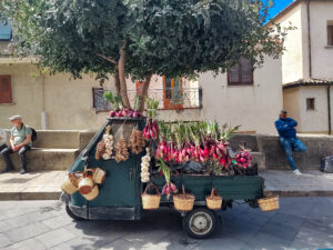 czerwone cebule w kalabrii